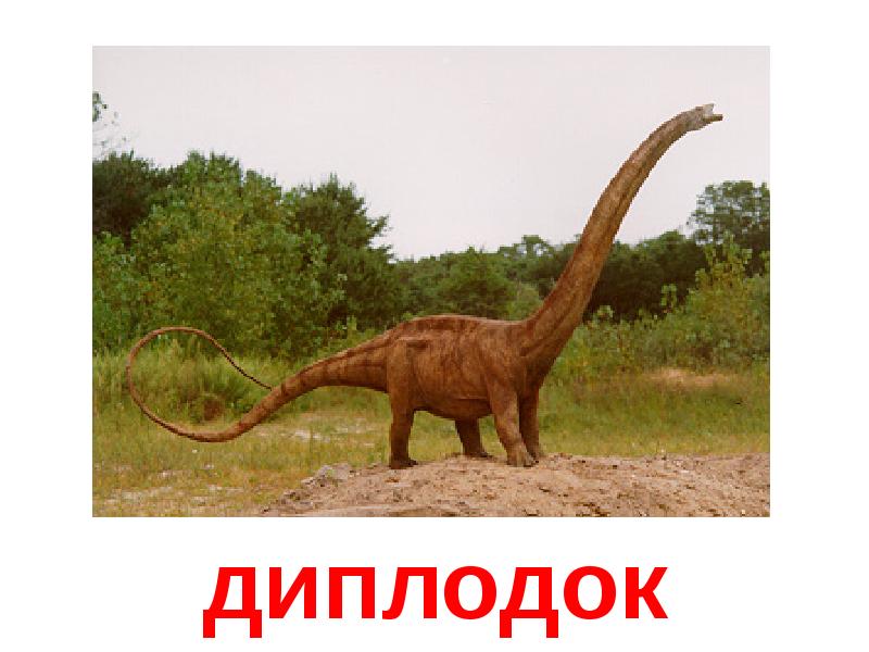 Открытки